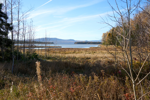 Eau,Plage,Plage de Penouille,Milieu naturel,Forêt,Parc Forillon,Saison,Automne,MRC Côte-de-Gaspé,Région,Parc provincial,Jour,Temps
